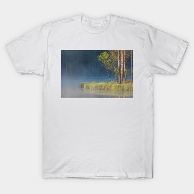 Forest reflecting to small lake at morning T-Shirt by Juhku